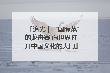 追光｜“国际范”的龙舟赛 向世界打开中国文化的大门