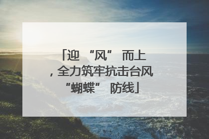 迎 “风” 而上，全力筑牢抗击台风 “蝴蝶” 防线