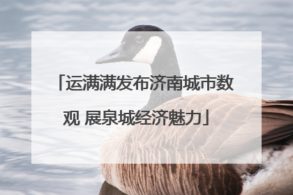 运满满发布济南城市数观 展泉城经济魅力