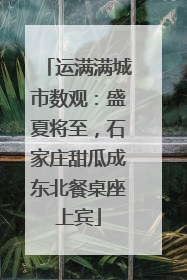 运满满城市数观：盛夏将至，石家庄甜瓜成东北餐桌座上宾