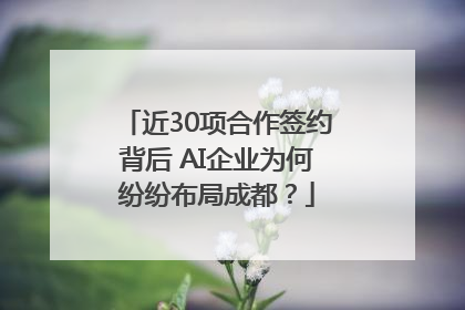 近30项合作签约背后 AI企业为何纷纷布局成都？