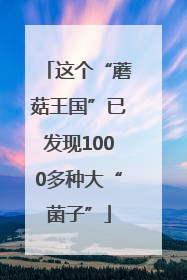 这个“蘑菇王国”已发现1000多种大“菌子”