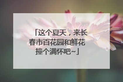 这个夏天，来长春市百花园和鲜花撞个满怀吧~