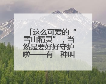 这么可爱的“雪山精灵”，当然是要好好守护啦——有一种叫云南的生活之365天