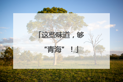 这些味道，够“青海”！