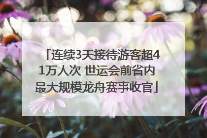 连续3天接待游客超41万人次 世运会前省内最大规模龙舟赛事收官