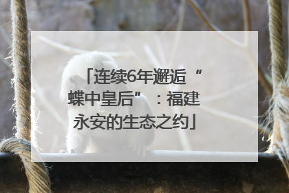 连续6年邂逅“蝶中皇后”：福建永安的生态之约