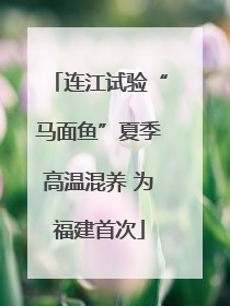 连江试验“马面鱼”夏季高温混养 为福建首次