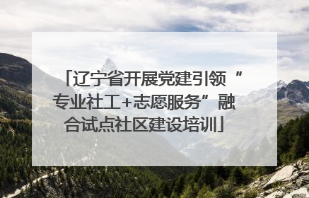 辽宁省开展党建引领“专业社工+志愿服务”融合试点社区建设培训