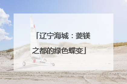 辽宁海城：菱镁之都的绿色蝶变