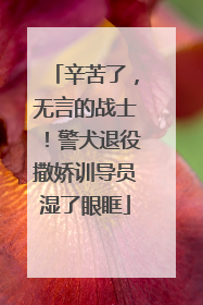 辛苦了，无言的战士！警犬退役撒娇训导员湿了眼眶
