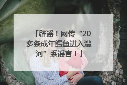 辟谣！网传“20多条成年鳄鱼进入澧河”系谣言！