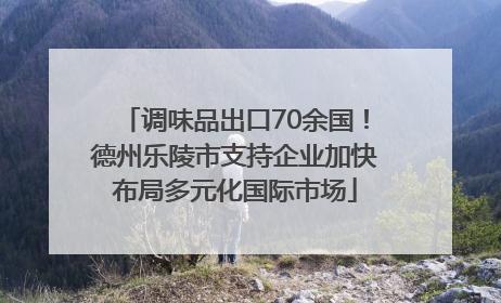 调味品出口70余国！德州乐陵市支持企业加快布局多元化国际市场