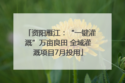资阳雁江：“一键灌溉”万亩良田 全域灌溉项目7月投用