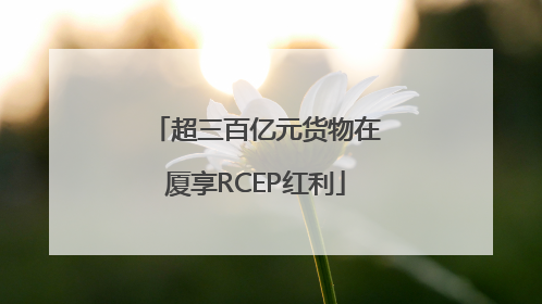 超三百亿元货物在厦享RCEP红利