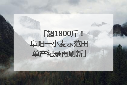 超1800斤！阜阳一小麦示范田单产纪录再刷新
