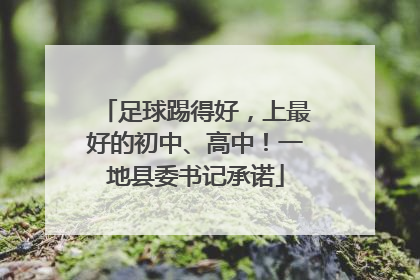 足球踢得好，上最好的初中、高中！一地县委书记承诺