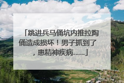 跳进兵马俑坑内推拉陶俑造成损坏！男子抓到了，患精神疾病……