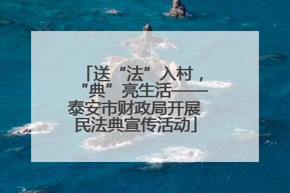 送“法”入村,“典”亮生活——泰安市财政局开展民法典宣传活动