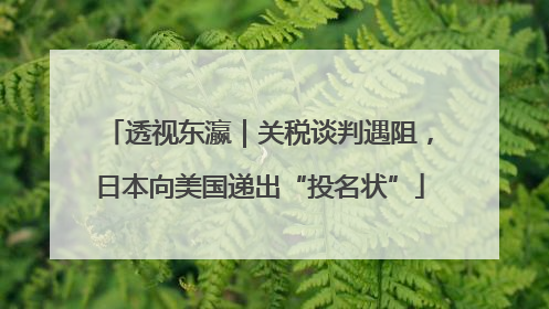 透视东瀛｜关税谈判遇阻，日本向美国递出“投名状”