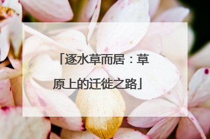 逐水草而居：草原上的迁徙之路