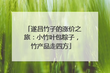 遂昌竹子的涨价之旅：小竹叶包粽子，竹产品走四方