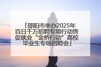 邵阳市举办2025年百日千万招聘专项行动暨促就业“金桥行动”高校毕业生专场招聘会