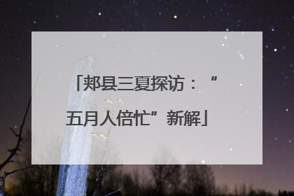 郏县三夏探访：“五月人倍忙”新解