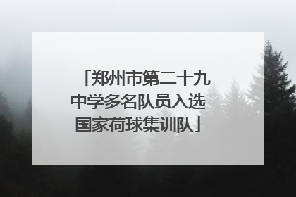 郑州市第二十九中学多名队员入选国家荷球集训队