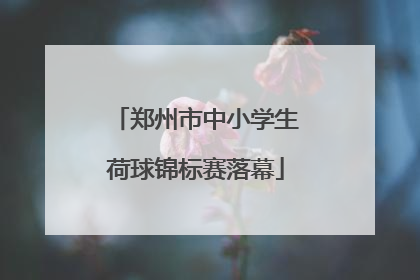 郑州市中小学生荷球锦标赛落幕