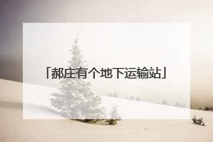 郝庄有个地下运输站