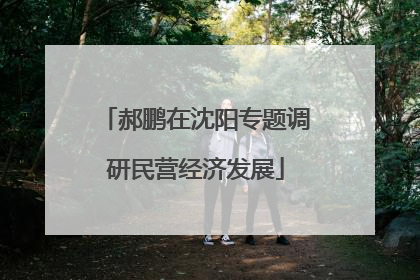 郝鹏在沈阳专题调研民营经济发展