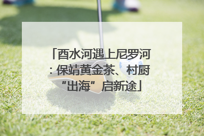 酉水河遇上尼罗河：保靖黄金茶、村厨“出海”启新途