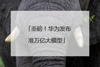 重磅！华为发布准万亿大模型