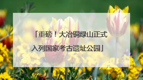 重磅！大冶铜绿山正式入列国家考古遗址公园