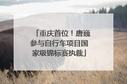 重庆首位！唐巍参与自行车项目国家级锦标赛执裁
