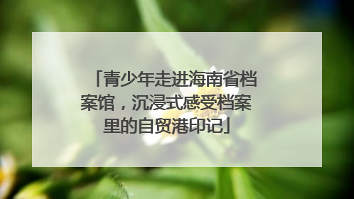 青少年走进海南省档案馆，沉浸式感受档案里的自贸港印记