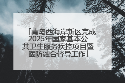 青岛西海岸新区完成2025年国家基本公共卫生服务疾控项目暨医防融合督导工作