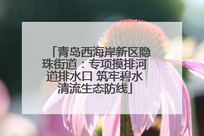 青岛西海岸新区隐珠街道：专项摸排河道排水口 筑牢碧水清流生态防线