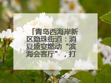 青岛西海岸新区隐珠街道：消夏盛宴燃动“滨海会客厅”，打造全天候、全龄段消费生态圈