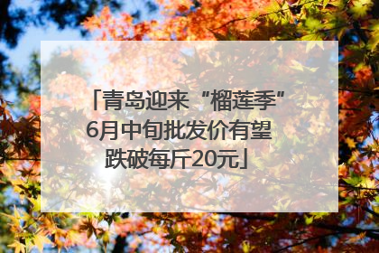 青岛迎来“榴莲季” 6月中旬批发价有望跌破每斤20元