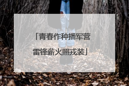 青春作种播军营 雷锋薪火照戎装