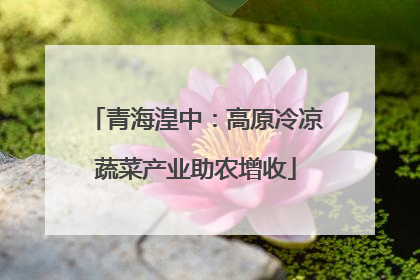 青海湟中：高原冷凉蔬菜产业助农增收