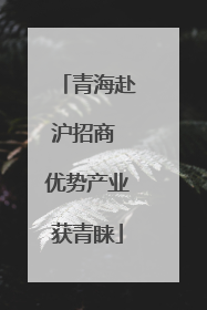 青海赴沪招商 优势产业获青睐