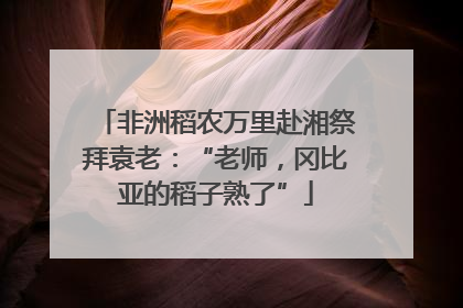 非洲稻农万里赴湘祭拜袁老：“老师，冈比亚的稻子熟了”