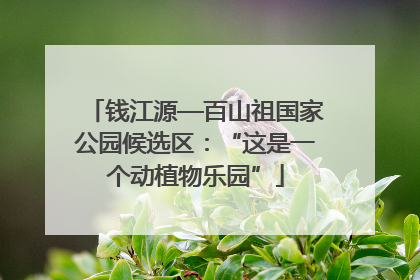 钱江源—百山祖国家公园候选区：“这是一个动植物乐园”