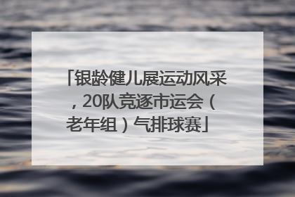 银龄健儿展运动风采，20队竞逐市运会（老年组）气排球赛
