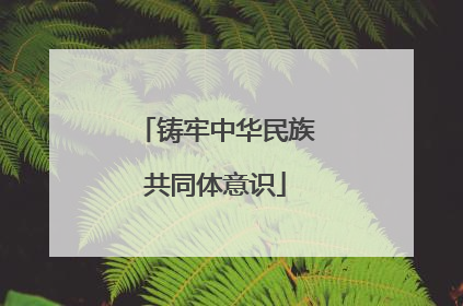 铸牢中华民族共同体意识