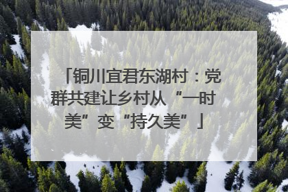 铜川宜君东湖村：党群共建让乡村从“一时美”变“持久美”