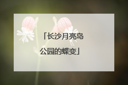 长沙月亮岛公园的蝶变